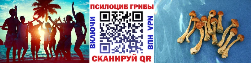 Галлюциногенные грибы GOLDEN TEACHER Нижневартовск
