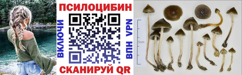 Псилоцибиновые грибы MAGIC MUSHROOMS Нижневартовск